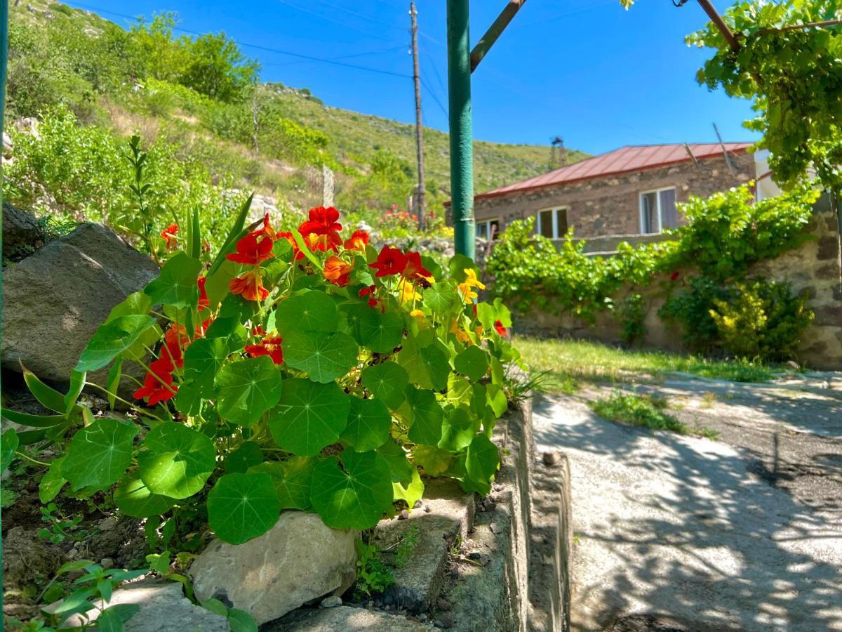 Igor Bed And Breakfast Halidzor エクステリア 写真