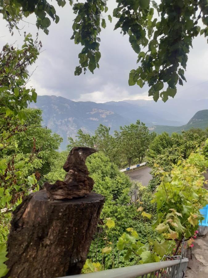 Igor Bed And Breakfast Halidzor エクステリア 写真