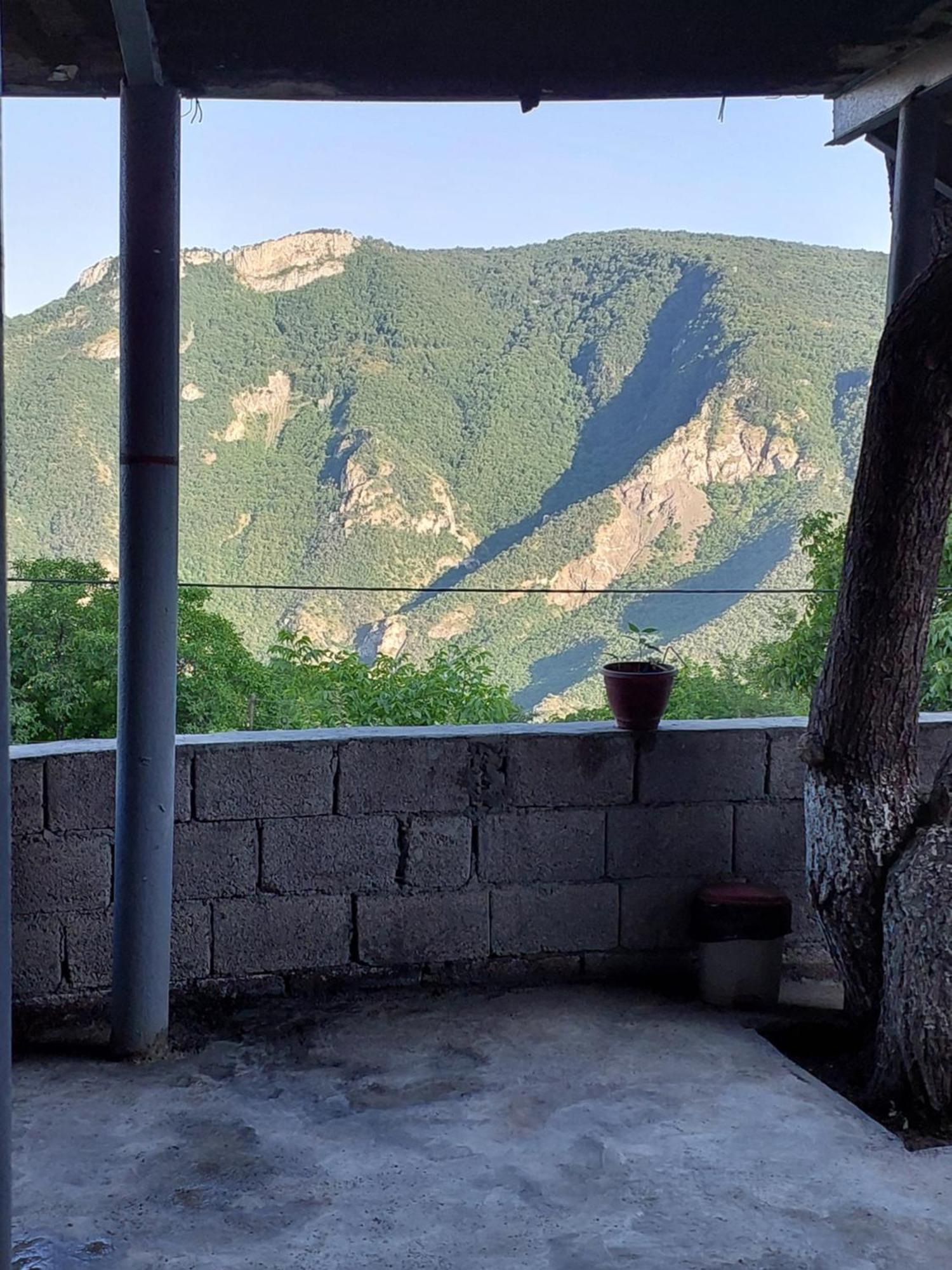 Igor Bed And Breakfast Halidzor エクステリア 写真