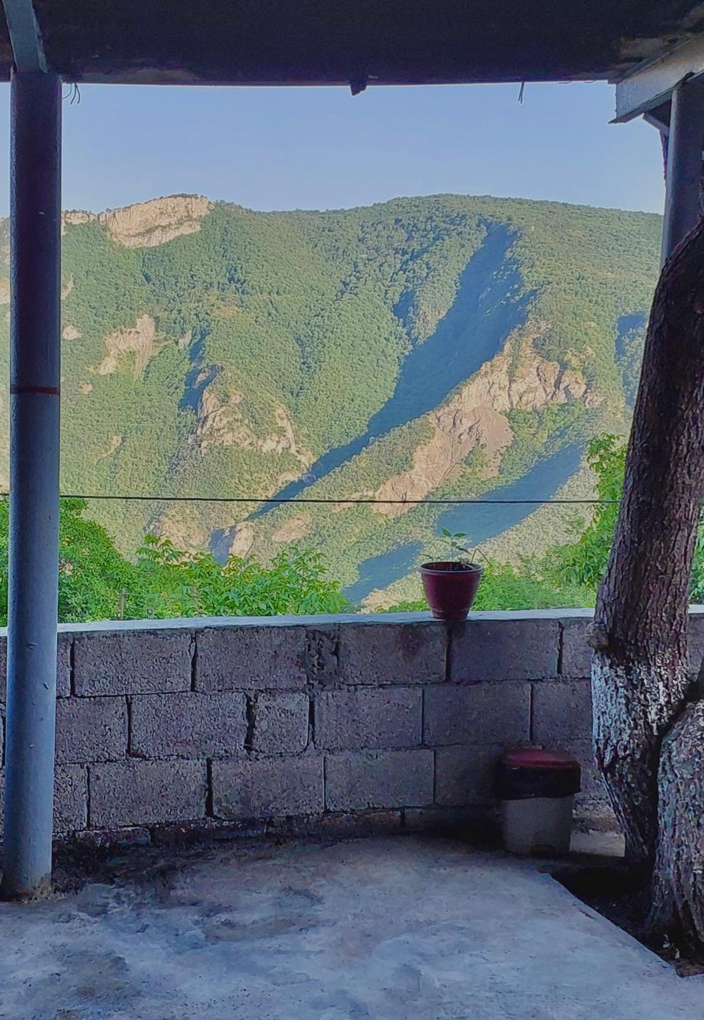 Igor Bed And Breakfast Halidzor エクステリア 写真