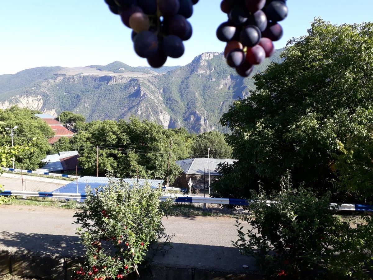 Igor Bed And Breakfast Halidzor エクステリア 写真