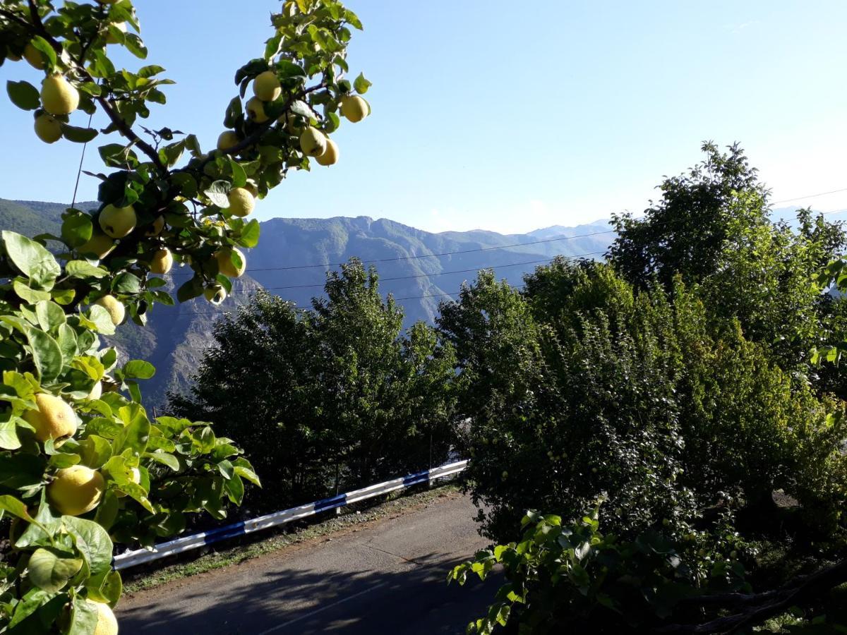 Igor Bed And Breakfast Halidzor エクステリア 写真